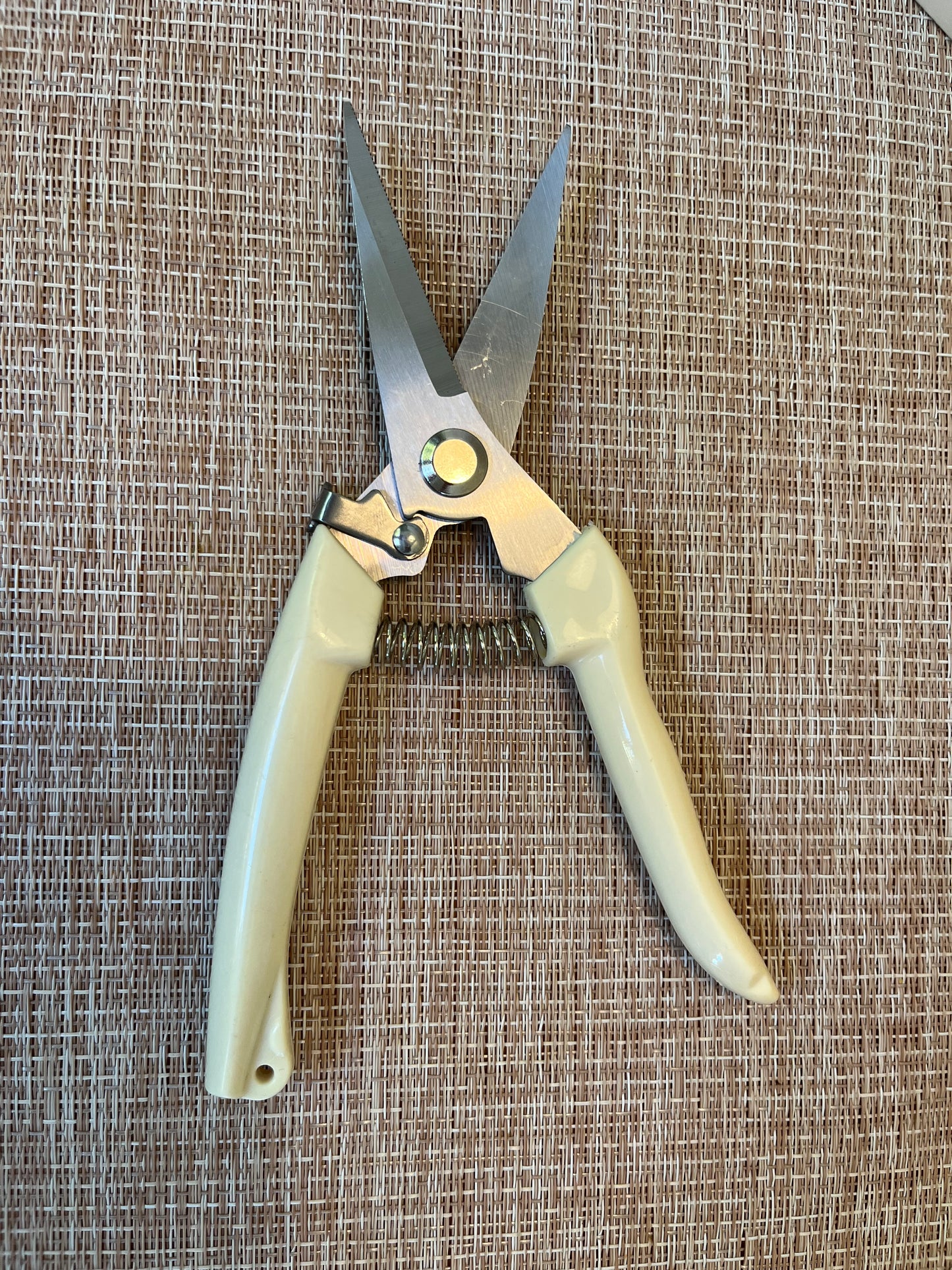 Pruning Shears Straigth