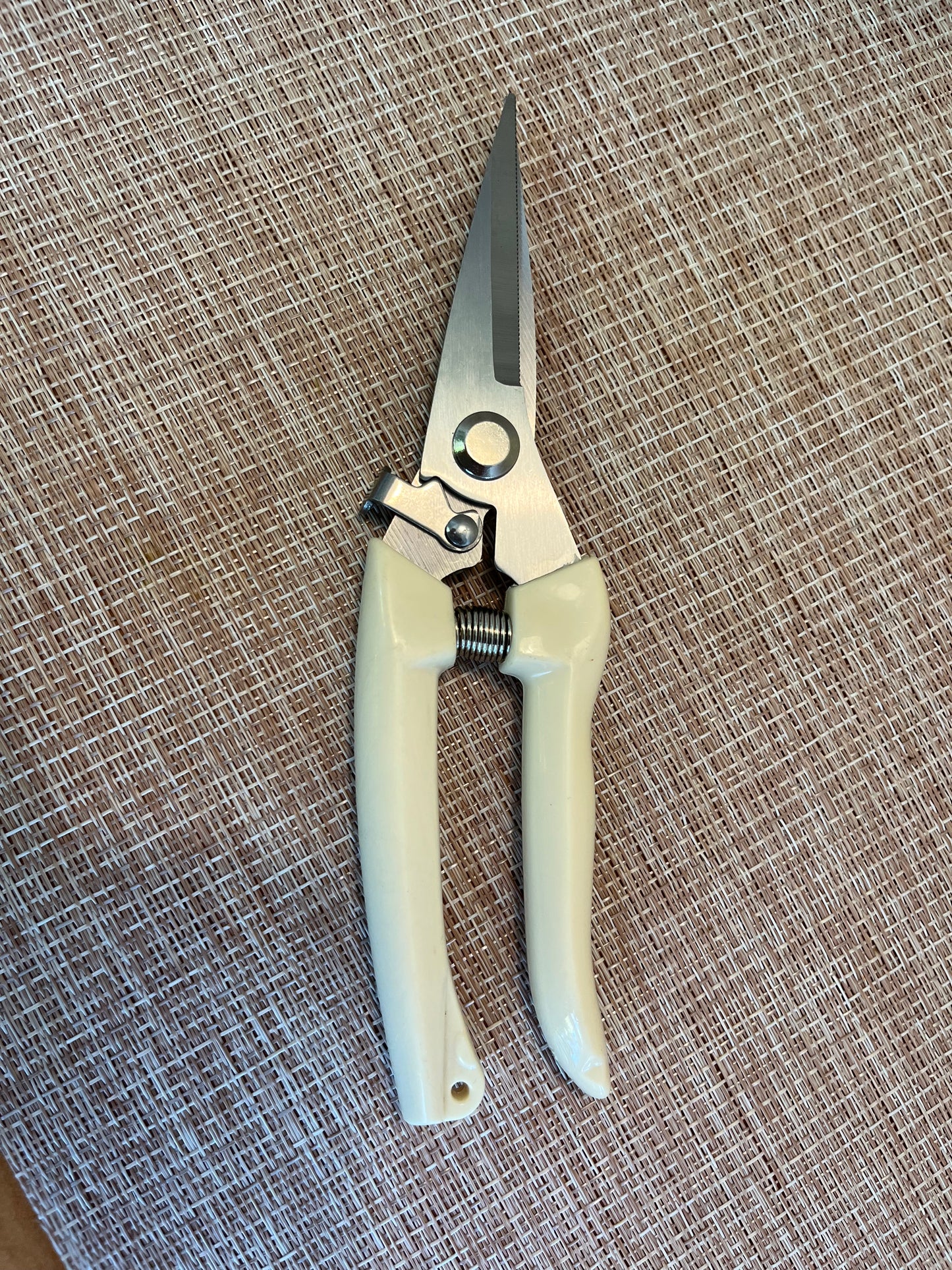 Pruning Shears Straigth