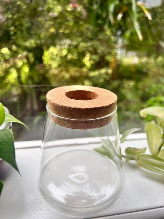 Glass Propagation Jar with Cork Lid